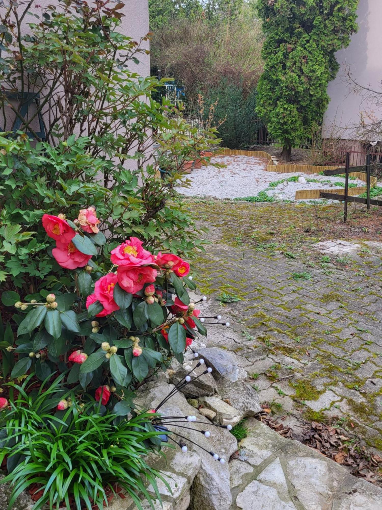 Villa Vino & Grad Zágráb Kültér fotó