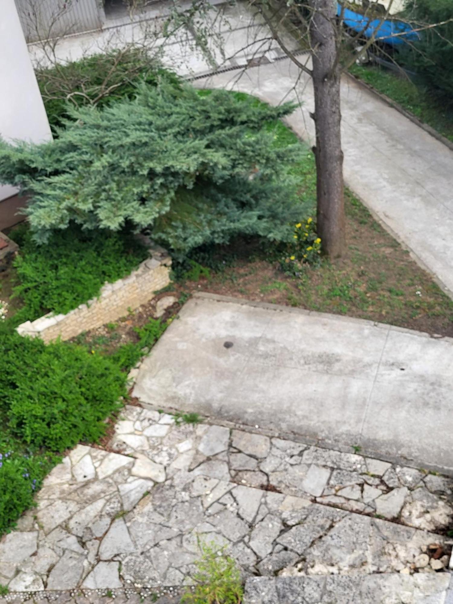 Villa Vino & Grad Zágráb Kültér fotó