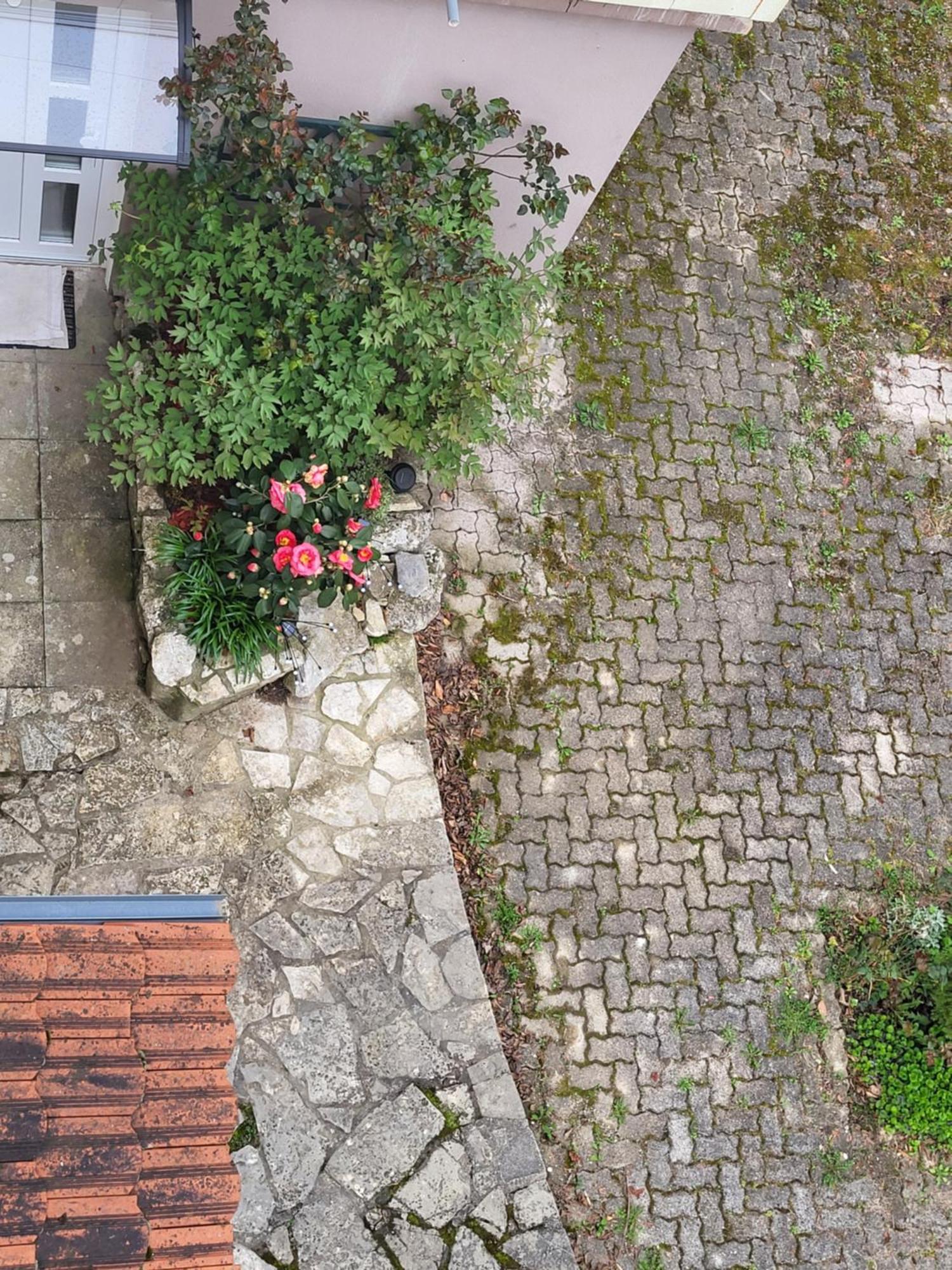 Villa Vino & Grad Zágráb Kültér fotó